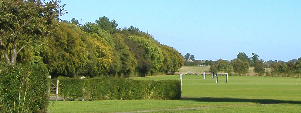 Image of playing field